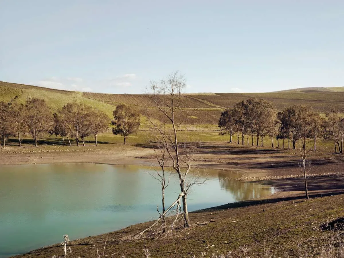 Beyond the Visible Landscape — immagine 9