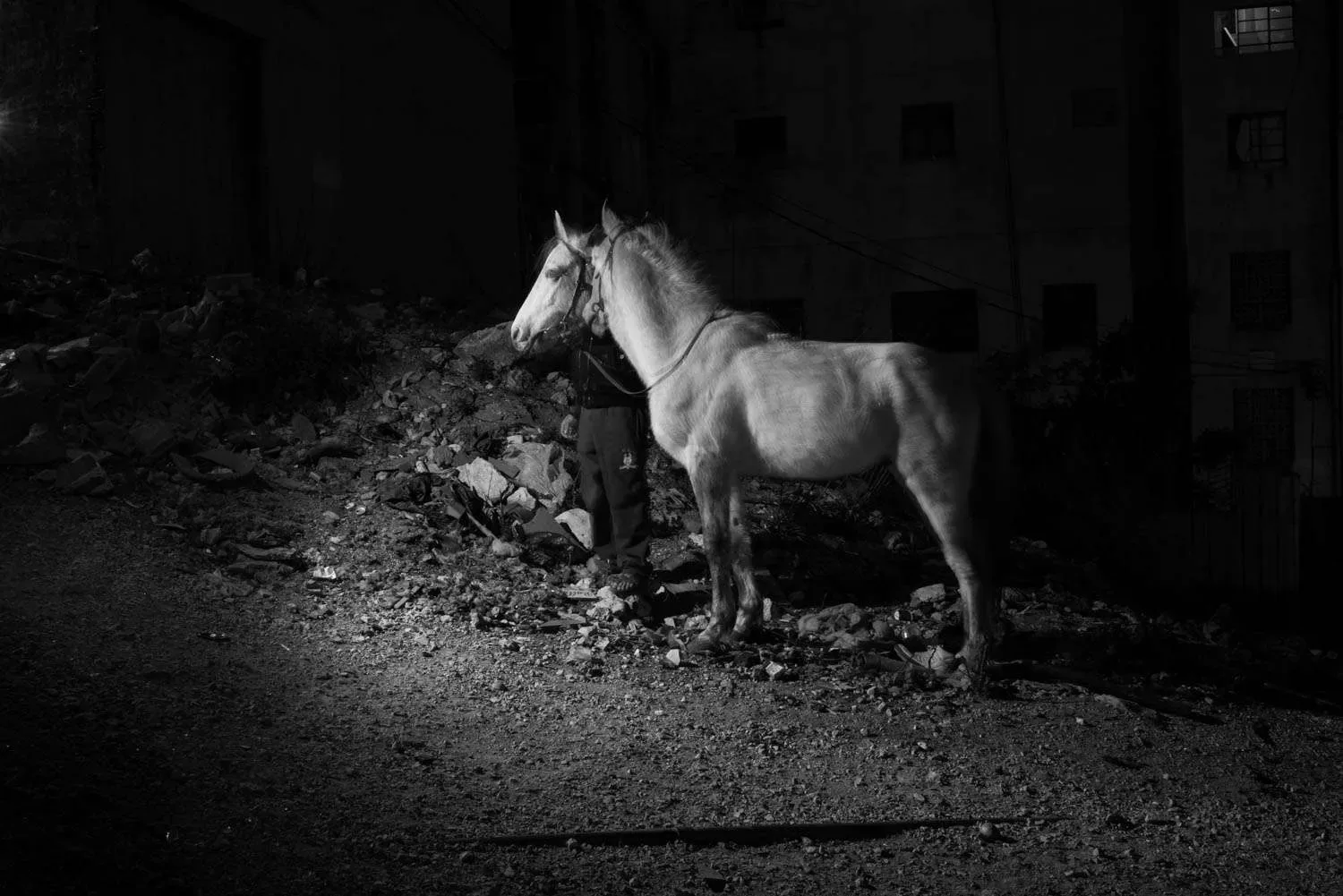 Costruire uno sguardo consapevole — immagine 1