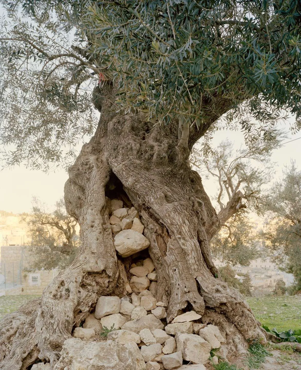 Costruire uno sguardo consapevole — immagine 8