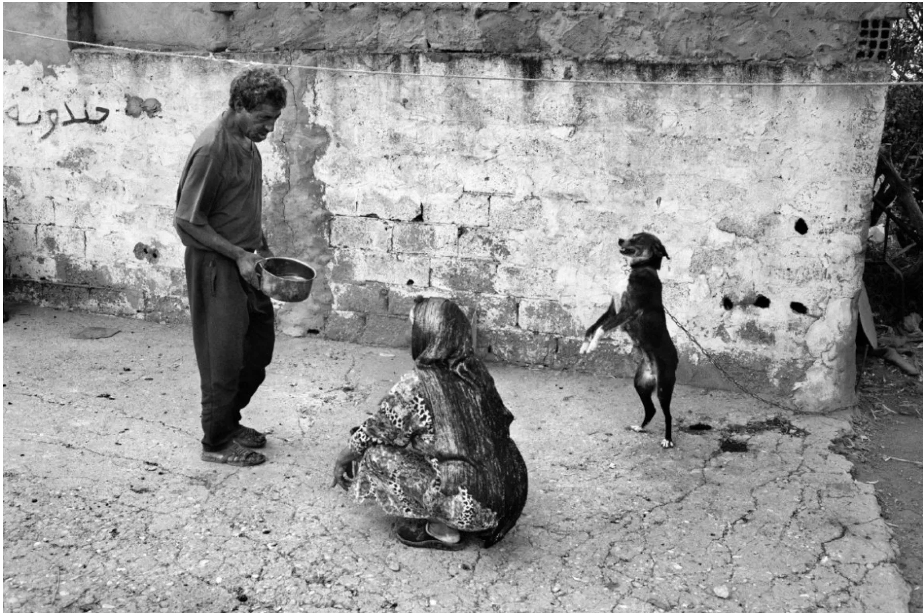 Il mercato della fotografia — immagine 4