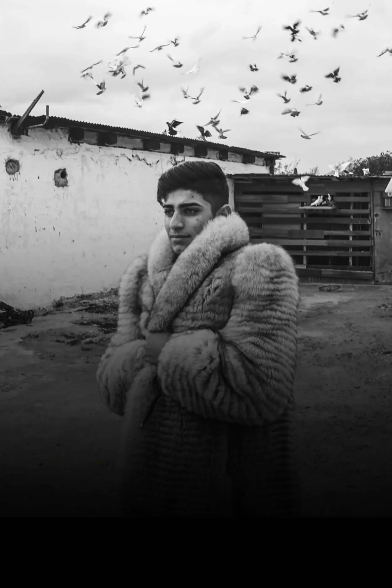 Il viaggio sotto casa — immagine 4