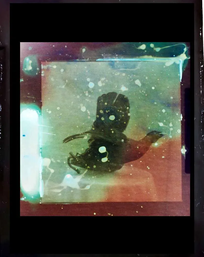 Intimate Portraits — immagine 4