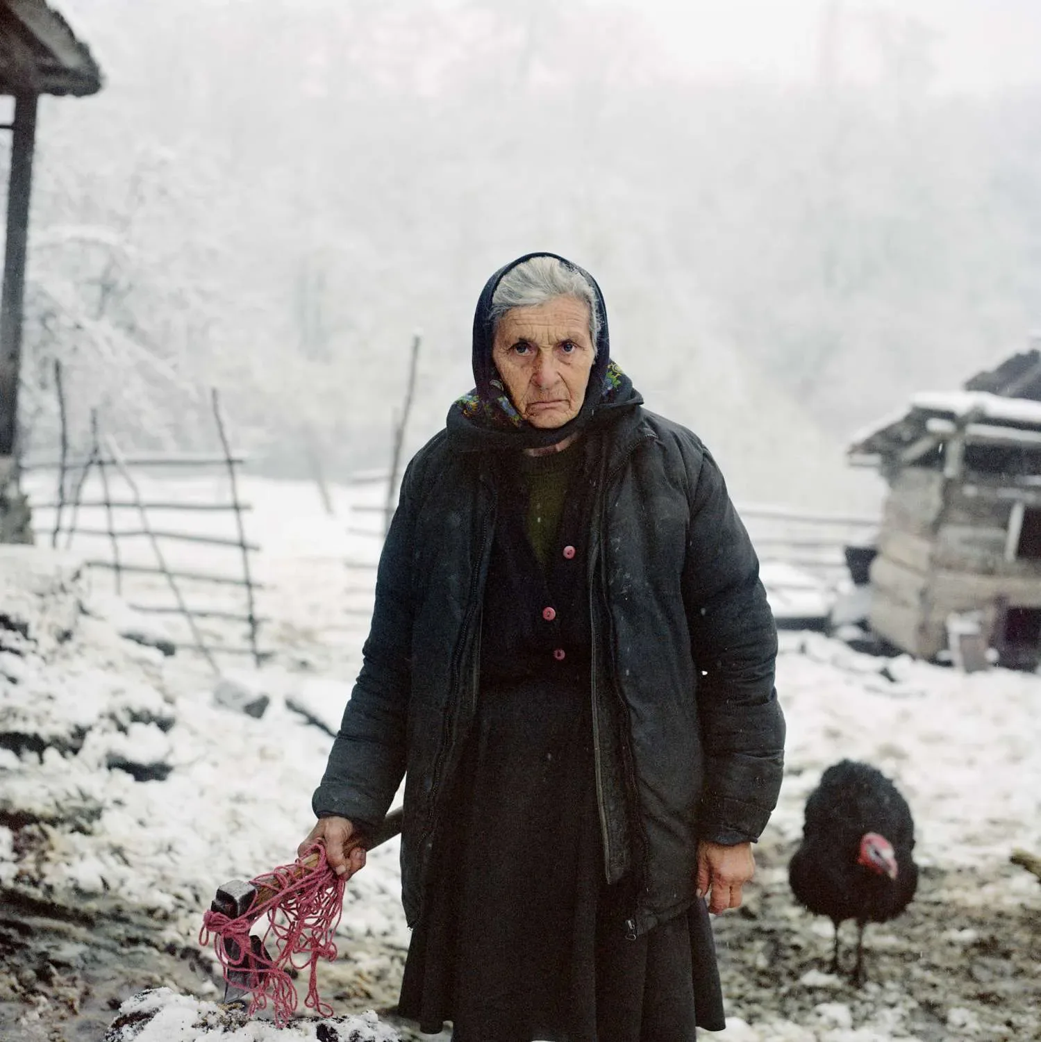 Intimate Portraits — immagine 7