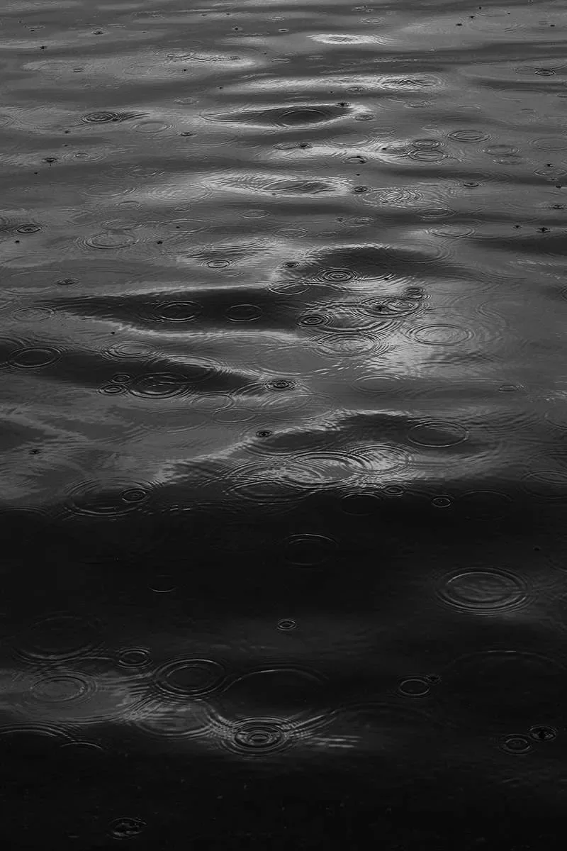 Intimo e Sociale — immagine 10