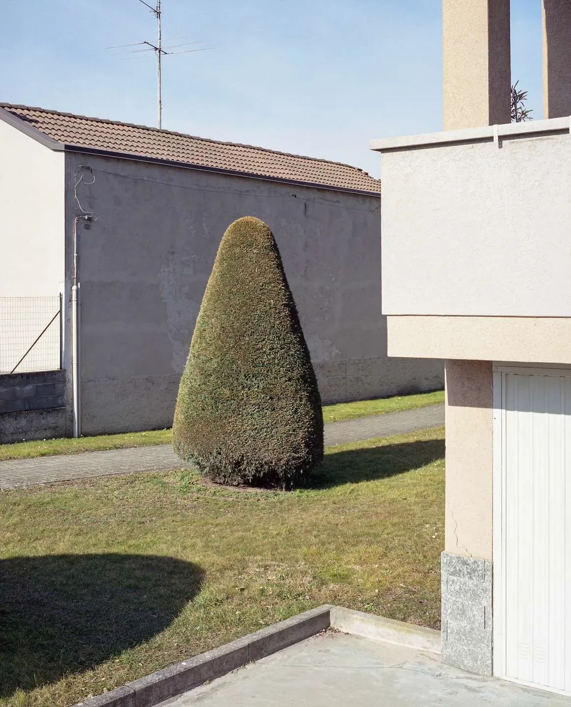 Narrazioni divergenti — immagine 1