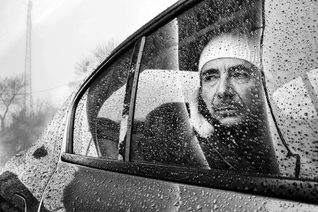 Observed Portrait — immagine 5
