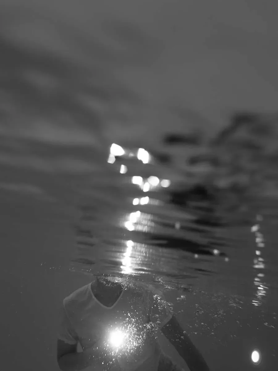 Teoria Critica — immagine 2