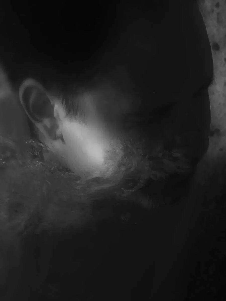 Teoria Critica — immagine 6