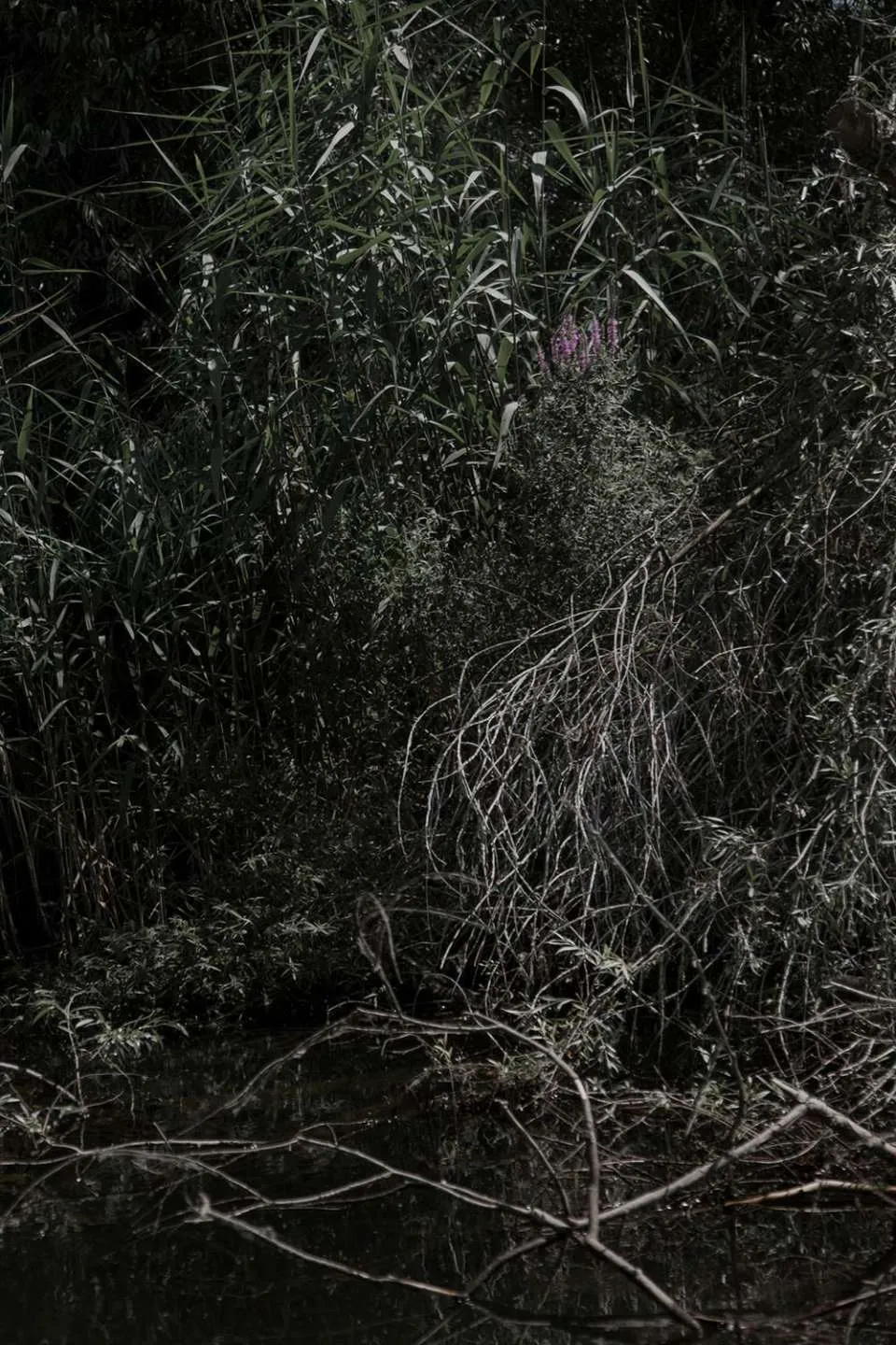 Territorio Interpretato — immagine 10