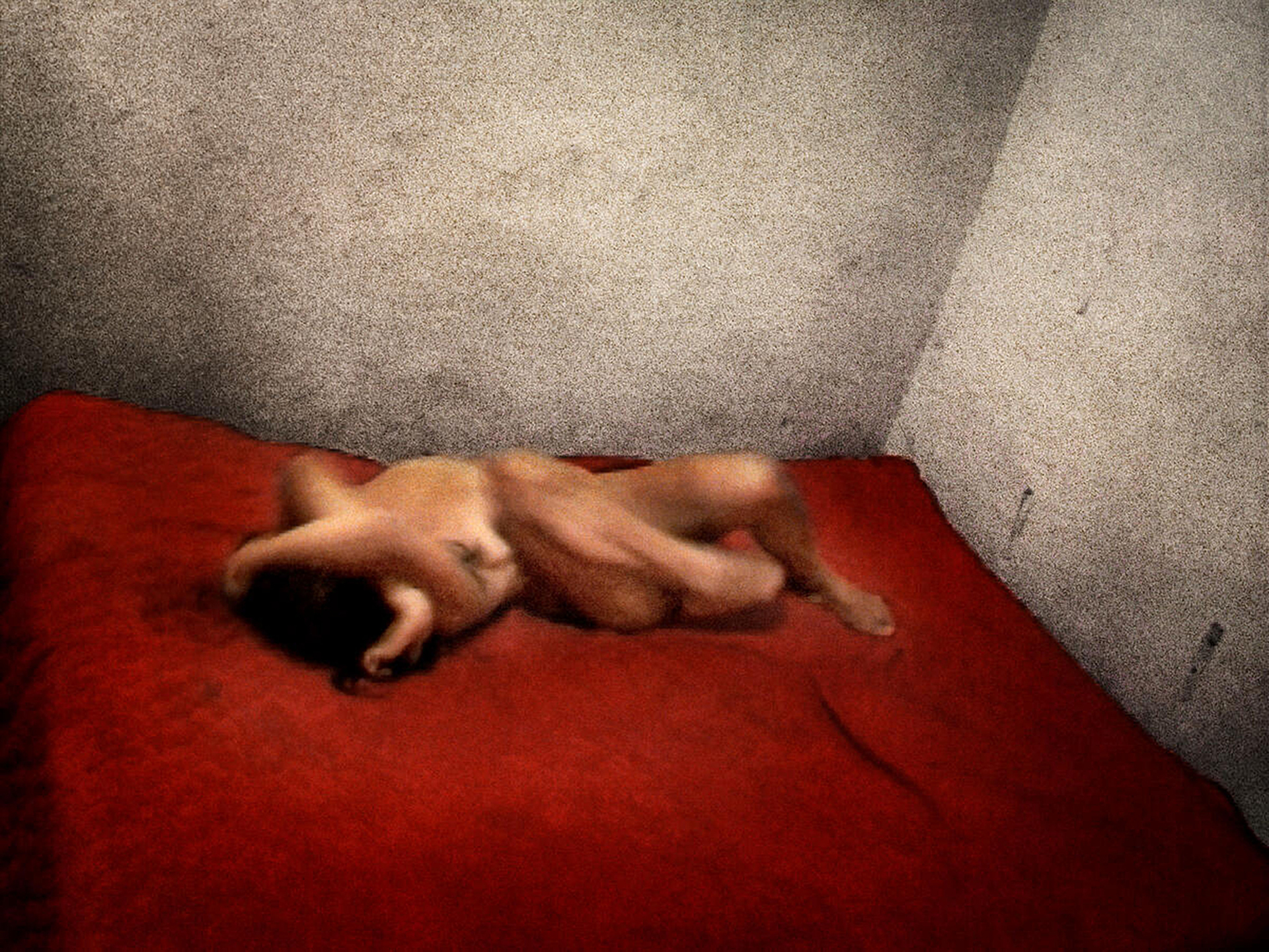 THE LIMIT OF THE PHOTOGRAPHIC ACT — immagine 1